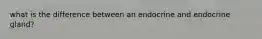 what is the difference between an endocrine and endocrine gland?