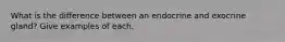 What is the difference between an endocrine and exocrine gland? Give examples of each.
