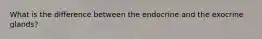 What is the difference between the endocrine and the exocrine glands?