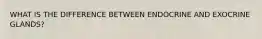 WHAT IS THE DIFFERENCE BETWEEN ENDOCRINE AND EXOCRINE GLANDS?