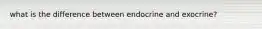 what is the difference between endocrine and exocrine?