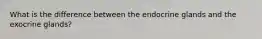 What is the difference between the endocrine glands and the exocrine glands?
