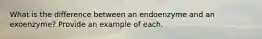 What is the difference between an endoenzyme and an exoenzyme? Provide an example of each.