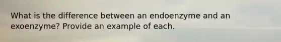 What is the difference between an endoenzyme and an exoenzyme? Provide an example of each.