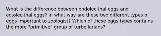 What is the difference between endolecithal eggs and ectolecithal eggs? In what way are these two different types of eggs important to zoologist? Which of these eggs types contains the more "primitive" group of turbellarians?