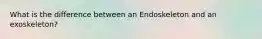 What is the difference between an Endoskeleton and an exoskeleton?