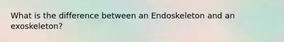 What is the difference between an Endoskeleton and an exoskeleton?