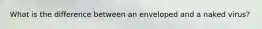 What is the difference between an enveloped and a naked virus?