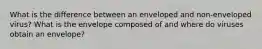 What is the difference between an enveloped and non-enveloped virus? What is the envelope composed of and where do viruses obtain an envelope?