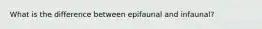 What is the difference between epifaunal and infaunal?