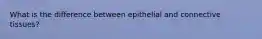 What is the difference between epithelial and connective tissues?