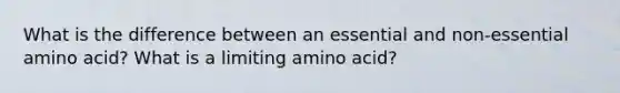 What is the difference between an essential and non-essential amino acid? What is a limiting amino acid?