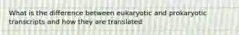 What is the difference between eukaryotic and prokaryotic transcripts and how they are translated