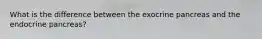 What is the difference between the exocrine pancreas and the endocrine pancreas?