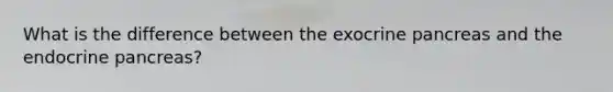 What is the difference between the exocrine pancreas and the endocrine pancreas?