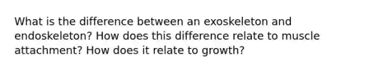 What is the difference between an exoskeleton and endoskeleton? How does this difference relate to muscle attachment? How does it relate to growth?