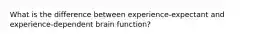 What is the difference between experience-expectant and experience-dependent brain function?