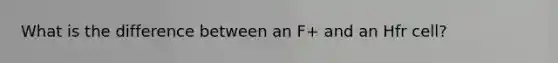 What is the difference between an F+ and an Hfr cell?