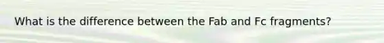 What is the difference between the Fab and Fc fragments?