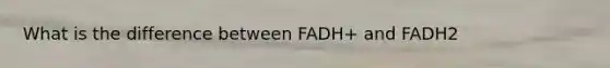 What is the difference between FADH+ and FADH2