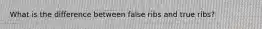 What is the difference between false ribs and true ribs?