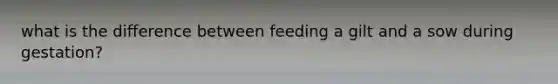 what is the difference between feeding a gilt and a sow during gestation?