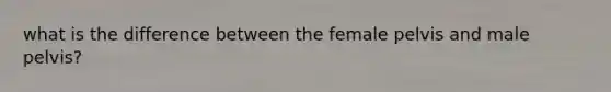 what is the difference between the female pelvis and male pelvis?