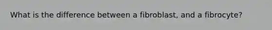 What is the difference between a fibroblast, and a fibrocyte?