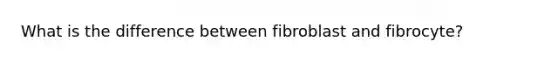 What is the difference between fibroblast and fibrocyte?