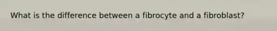 What is the difference between a fibrocyte and a fibroblast?