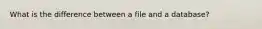 What is the difference between a file and a database?