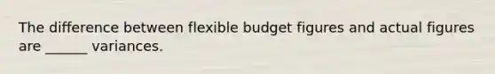 The difference between flexible budget figures and actual figures are ______ variances.