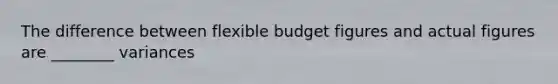 The difference between flexible budget figures and actual figures are ________ variances