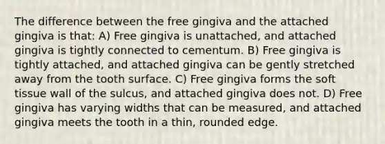 The difference between the free gingiva and the attached gingiva is that: A) Free gingiva is unattached, and attached gingiva is tightly connected to cementum. B) Free gingiva is tightly attached, and attached gingiva can be gently stretched away from the tooth surface. C) Free gingiva forms the soft tissue wall of the sulcus, and attached gingiva does not. D) Free gingiva has varying widths that can be measured, and attached gingiva meets the tooth in a thin, rounded edge.