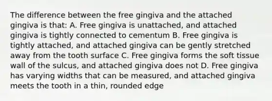 The difference between the free gingiva and the attached gingiva is that: A. Free gingiva is unattached, and attached gingiva is tightly connected to cementum B. Free gingiva is tightly attached, and attached gingiva can be gently stretched away from the tooth surface C. Free gingiva forms the soft tissue wall of the sulcus, and attached gingiva does not D. Free gingiva has varying widths that can be measured, and attached gingiva meets the tooth in a thin, rounded edge