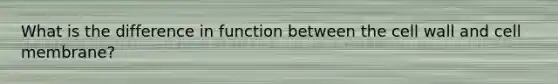 What is the difference in function between the cell wall and cell membrane?