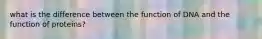 what is the difference between the function of DNA and the function of proteins?