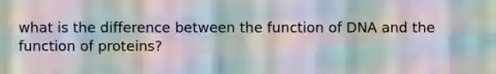 what is the difference between the function of DNA and the function of proteins?