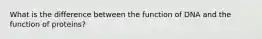 What is the difference between the function of DNA and the function of proteins?