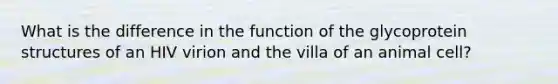 What is the difference in the function of the glycoprotein structures of an HIV virion and the villa of an animal cell?