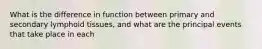 What is the difference in function between primary and secondary lymphoid tissues, and what are the principal events that take place in each