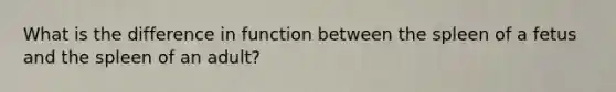 What is the difference in function between the spleen of a fetus and the spleen of an adult?