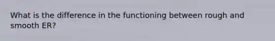 What is the difference in the functioning between rough and smooth ER?