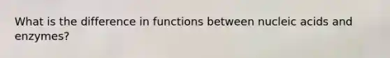 What is the difference in functions between nucleic acids and enzymes?