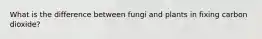 What is the difference between fungi and plants in fixing carbon dioxide?