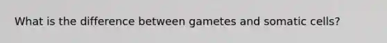 What is the difference between gametes and somatic cells?