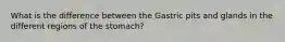 What is the difference between the Gastric pits and glands in the different regions of the stomach?