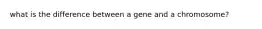 what is the difference between a gene and a chromosome?