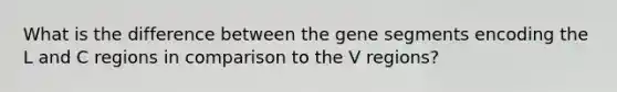 What is the difference between the gene segments encoding the L and C regions in comparison to the V regions?