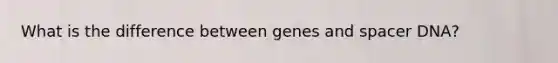 What is the difference between genes and spacer DNA?